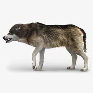 3D wolf 3 fur