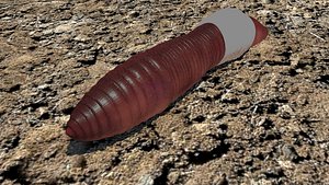 Worm