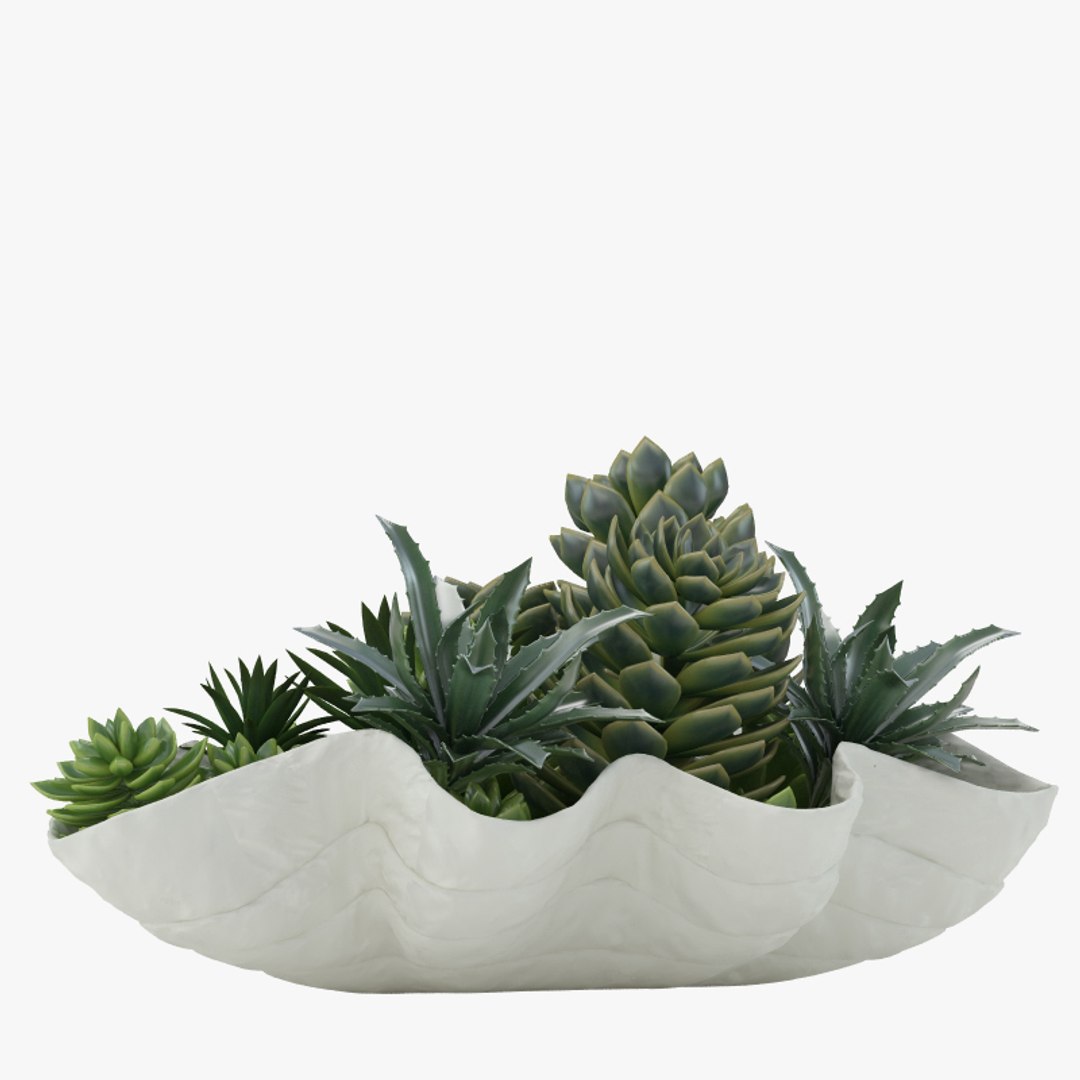 succulent giant clam 3d max https://p.turbosquid.com/ts-thumb/Jg/HZqKKa/AKsvudxz/4/jpg/1413809778/1920x1080/fit_q87/e8e121f101a1caa64aba1bb0de4771e6f4dd7e2d/4.jpg
