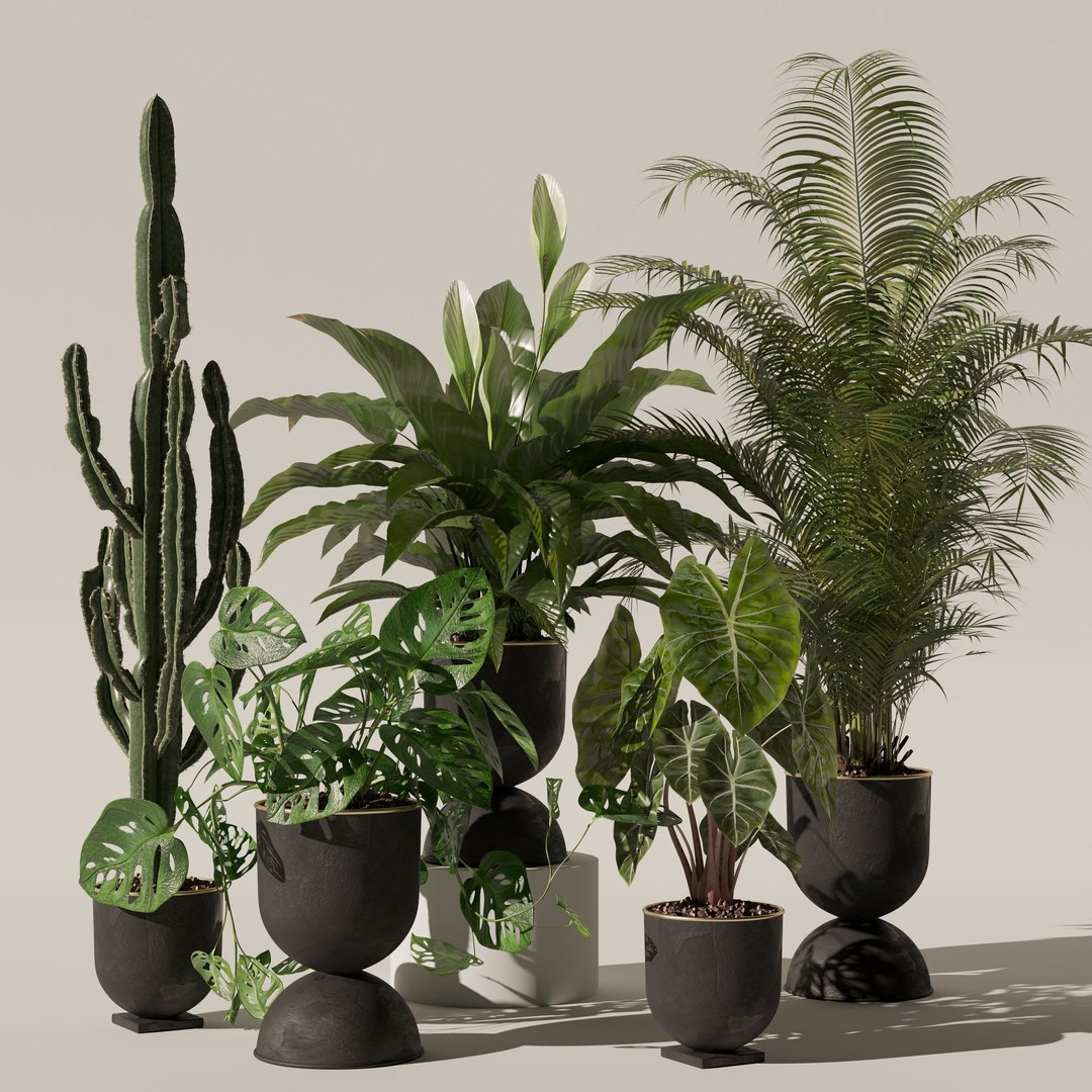3D Plants collection 140 model https://p.turbosquid.com/ts-thumb/Jg/SNPkIC/3X/11/jpg/1664965525/1920x1080/fit_q87/b623df18cd19b913485070975672ba63153040ea/11.jpg