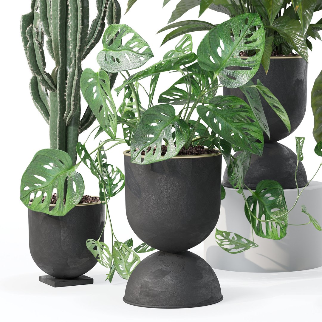 3D Plants collection 140 model https://p.turbosquid.com/ts-thumb/Jg/SNPkIC/5Z/2/jpg/1664965521/1920x1080/fit_q87/144c2af03c79e5e06c9739ac3ea8b9e945c54046/2.jpg