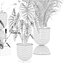 Colección de plantas 140