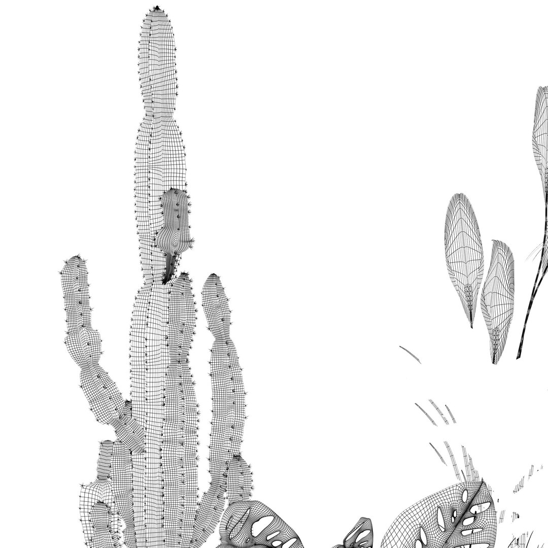 3D Plants collection 140 model https://p.turbosquid.com/ts-thumb/Jg/SNPkIC/Dk/8/jpg/1664965524/1920x1080/fit_q87/0de662c33f1fc473ee6ad6e2b04c76acc96b00c4/8.jpg