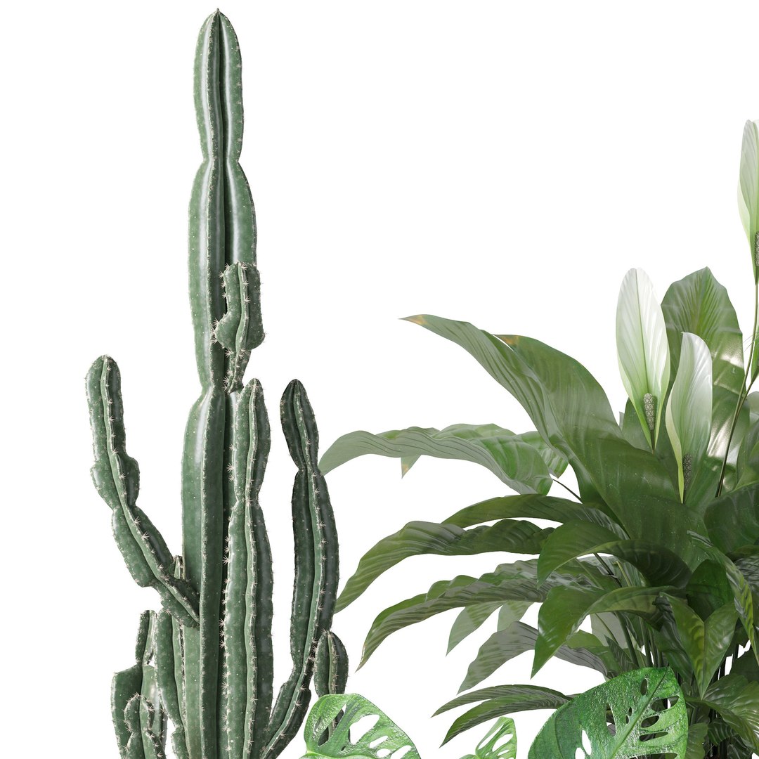 3D Plants collection 140 model https://p.turbosquid.com/ts-thumb/Jg/SNPkIC/UT/3/jpg/1664965521/1920x1080/fit_q87/9a1561f7f1e297b8f67c6f9351228773bd65ec46/3.jpg