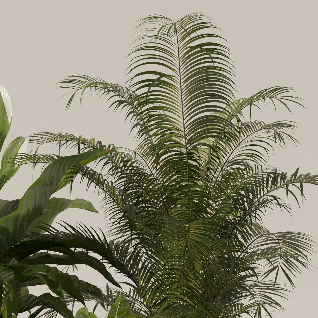 3D Plants collection 140 model https://p.turbosquid.com/ts-thumb/Jg/SNPkIC/kg/15/jpg/1664965527/1920x1080/fit_q87/b04c82707367128e739ee52b3fffd7df367cb8c8/15.jpg