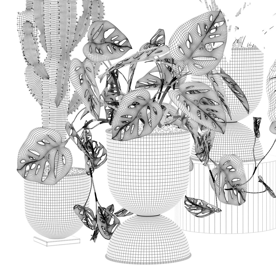 3D Plants collection 140 model https://p.turbosquid.com/ts-thumb/Jg/SNPkIC/of/7/jpg/1664965523/1920x1080/fit_q87/b34b4ae17775b1e4671daee0aac05739342716b8/7.jpg