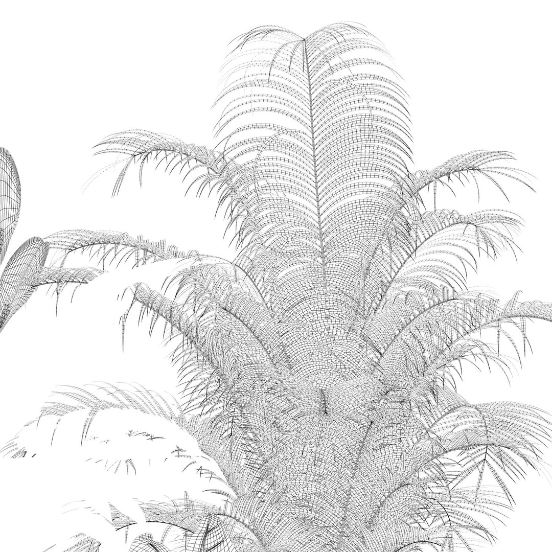 3D Plants collection 140 model https://p.turbosquid.com/ts-thumb/Jg/SNPkIC/wu/10/jpg/1664965525/1920x1080/fit_q87/a45f12403c427813fe781eb3f338087a763d22b7/10.jpg