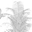 Colección de plantas 140