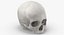 Kolekcja Human Skulls 02 Biało-żółta - 24 modele