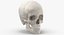 Kolekcja Human Skulls 02 Biało-żółta - 24 modele