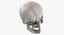 Kolekcja Human Skulls 02 Biało-żółta - 24 modele