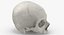 Kolekcja Human Skulls 02 Biało-żółta - 24 modele