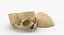Kolekcja Human Skulls 02 Biało-żółta - 24 modele