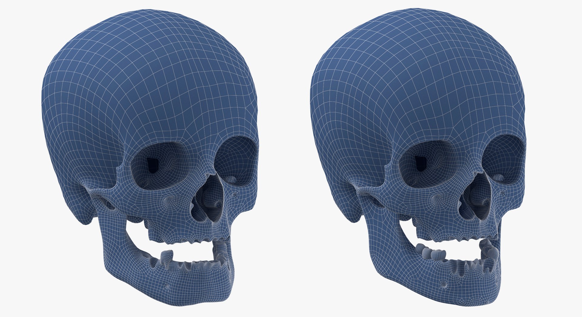 Human Skulls Collection 02 White and Yellow - 24 models 3D https://p.turbosquid.com/ts-thumb/Jg/W3abjh/Bj/21/jpg/1623669426/1920x1080/fit_q87/9da935413be922dc2613b9349e210667c04fa5f9/21.jpg