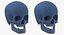Kolekcja Human Skulls 02 Biało-żółta - 24 modele