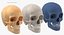 Kolekcja Human Skulls 02 Biało-żółta - 24 modele