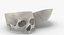 Kolekcja Human Skulls 02 Biało-żółta - 24 modele