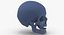 Kolekcja Human Skulls 02 Biało-żółta - 24 modele