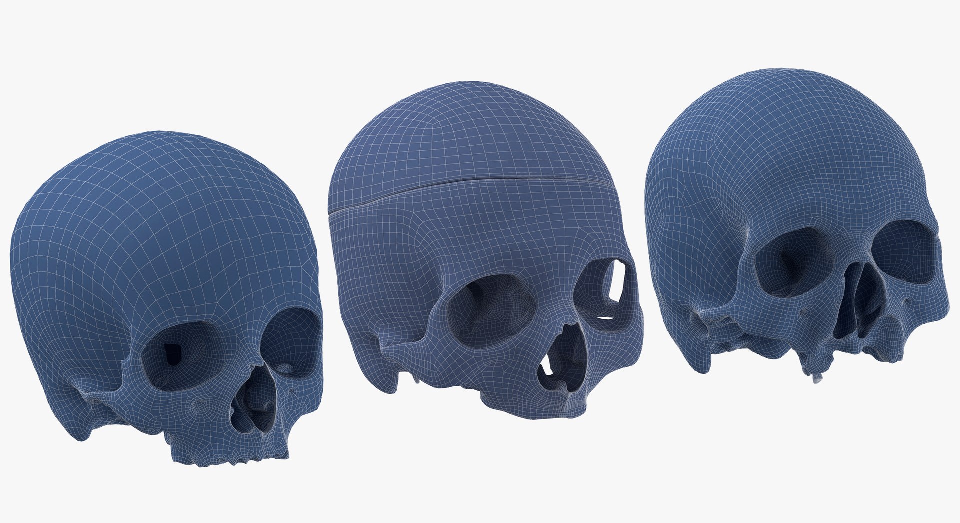 Human Skulls Collection 02 White and Yellow - 24 models 3D https://p.turbosquid.com/ts-thumb/Jg/W3abjh/Fb/23/jpg/1623669427/1920x1080/fit_q87/4047fbcb1aa8e33dd71e12d22ef9d7d3612dc847/23.jpg