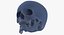 Kolekcja Human Skulls 02 Biało-żółta - 24 modele