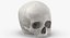 Kolekcja Human Skulls 02 Biało-żółta - 24 modele