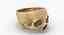 Kolekcja Human Skulls 02 Biało-żółta - 24 modele