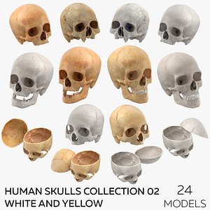 Human Skulls Collection 02 White and Yellow - 24 models 3D
