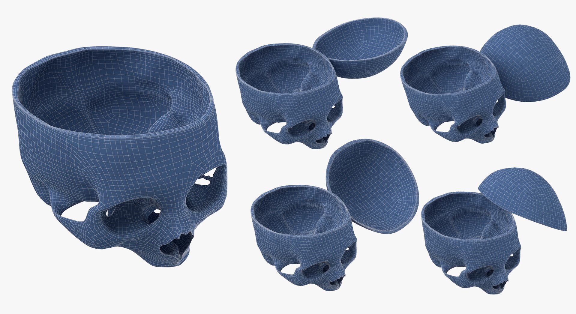 Human Skulls Collection 02 White and Yellow - 24 models 3D https://p.turbosquid.com/ts-thumb/Jg/W3abjh/Ot/25/jpg/1623669427/1920x1080/fit_q87/a74e257046752ed7dac9053dd086b7d5189e462a/25.jpg