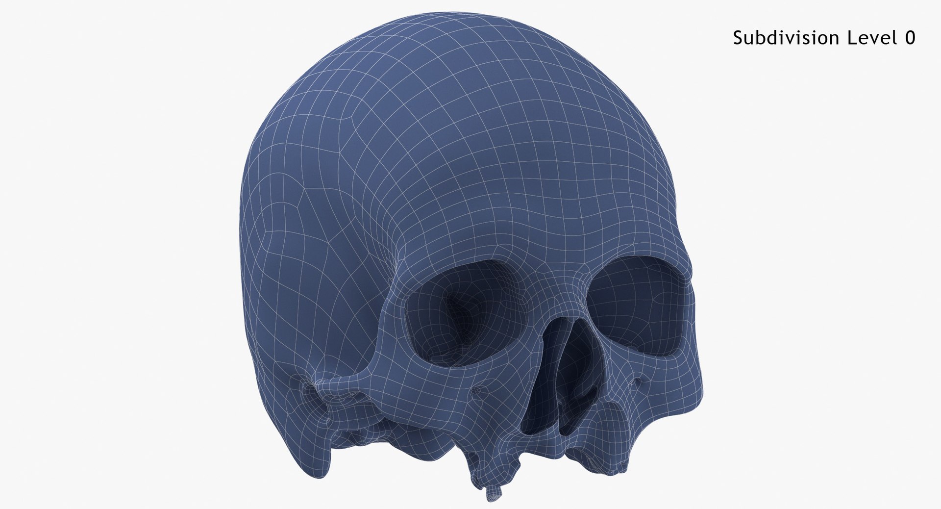 Human Skulls Collection 02 White and Yellow - 24 models 3D https://p.turbosquid.com/ts-thumb/Jg/W3abjh/V5/human_skull_cranium_with_leprosy_01_white_subdiv0/jpg/1623669480/1920x1080/fit_q87/08748925a3ec4fe7b7a07c08412bb803dafbd1f3/human_skull_cranium_with_leprosy_01_white_subdiv0.jpg