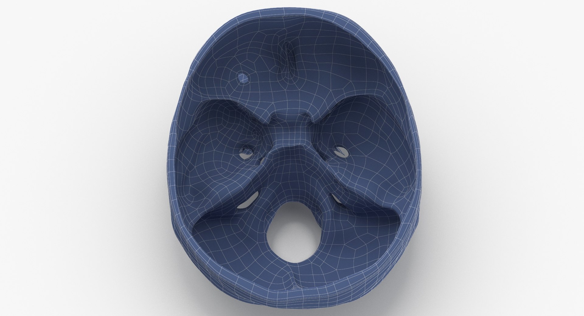 Human Skulls Collection 02 White and Yellow - 24 models 3D https://p.turbosquid.com/ts-thumb/Jg/W3abjh/Z0/human_skull_cranial_02_cut_wireframe_0005/jpg/1623669402/1920x1080/fit_q87/ee22a906362eddaca155c64d0ee4d33ac0d7cb22/human_skull_cranial_02_cut_wireframe_0005.jpg