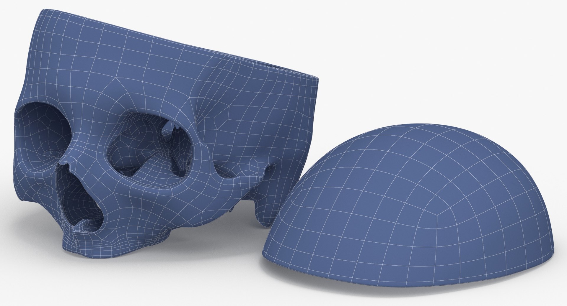 Human Skulls Collection 02 White and Yellow - 24 models 3D https://p.turbosquid.com/ts-thumb/Jg/W3abjh/ZG/human_skull_cranial_02_cut_with_piece_pose_04_wireframe_0005/jpg/1623669418/1920x1080/fit_q87/0293bef4749b51e8cdfc66b48c0b225af979a9e7/human_skull_cranial_02_cut_with_piece_pose_04_wireframe_0005.jpg