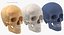 Kolekcja Human Skulls 02 Biało-żółta - 24 modele