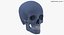 Kolekcja Human Skulls 02 Biało-żółta - 24 modele