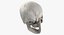 Kolekcja Human Skulls 02 Biało-żółta - 24 modele