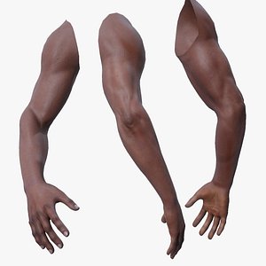 First Person Arms - 2 3D model