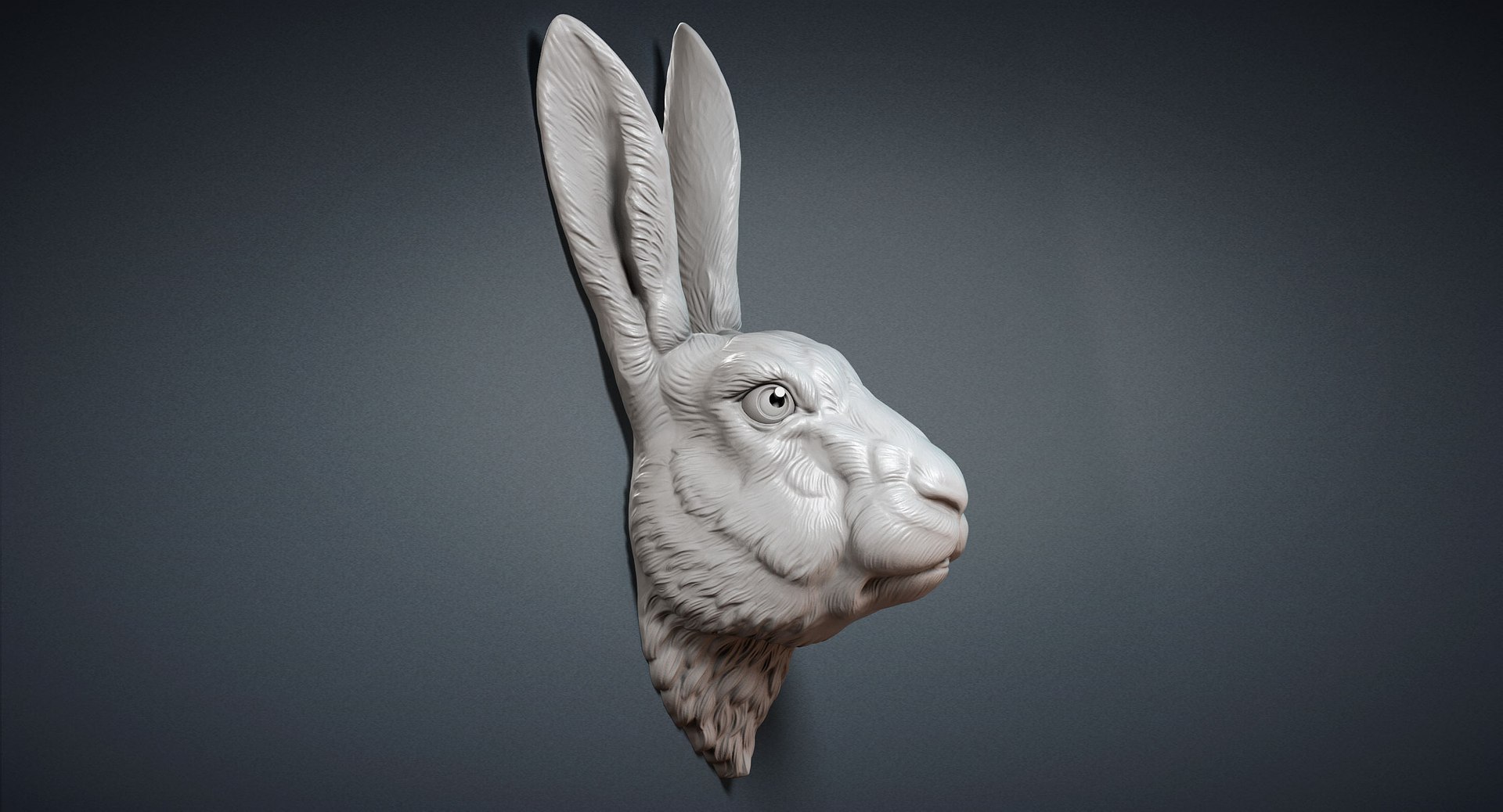 rabbit hare head sculpture model https://p.turbosquid.com/ts-thumb/Jg/ifIKmI/P4d1ePtJ/rabbitheaddigitalsculpture3dmodel01/jpg/1511447133/1920x1080/fit_q87/fd4a1d051af1de5215da3d7a97015f9fe79a5aad/rabbitheaddigitalsculpture3dmodel01.jpg