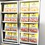 frozen food cases model