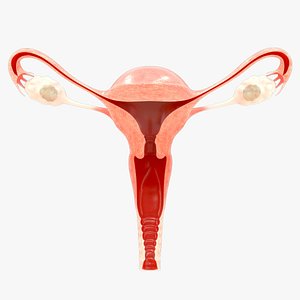 oophorectomy