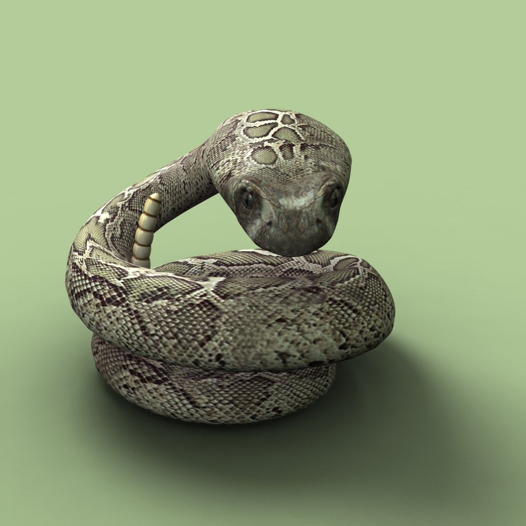 3d Western Diamondback Rattlesnake Rigged Model