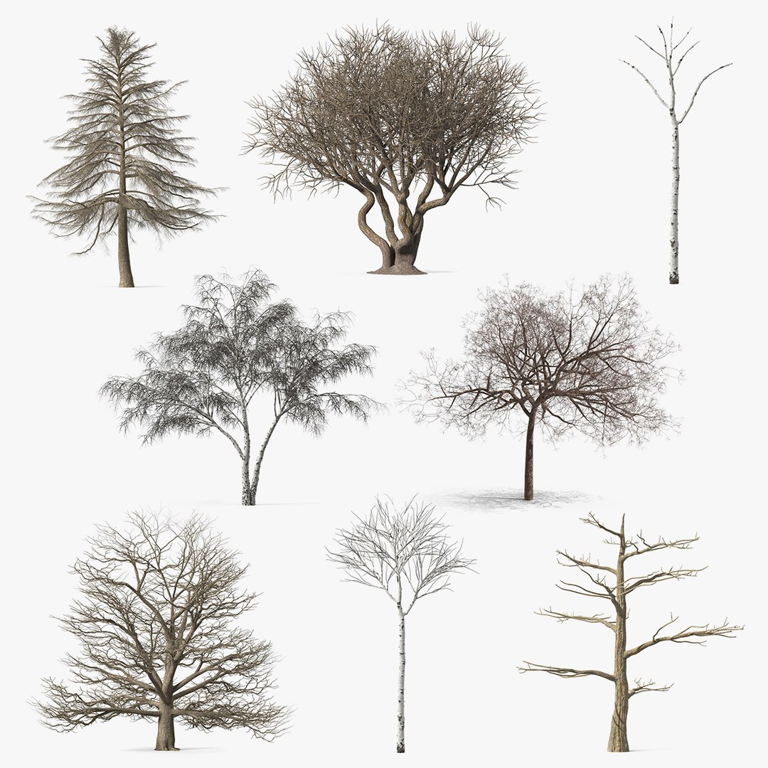 Winter Trees Collection 9 3D model preview