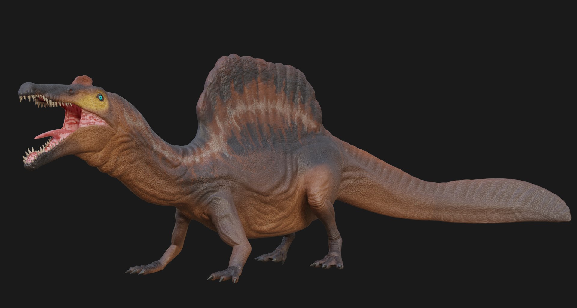 3D Spinosaurus https://p.turbosquid.com/ts-thumb/Jh/2EDKt4/FV/6/png/1739429557/1920x1080/fit_q87/da7280601e0ff301d4fd515fb19adec06c2e39af/6.jpg