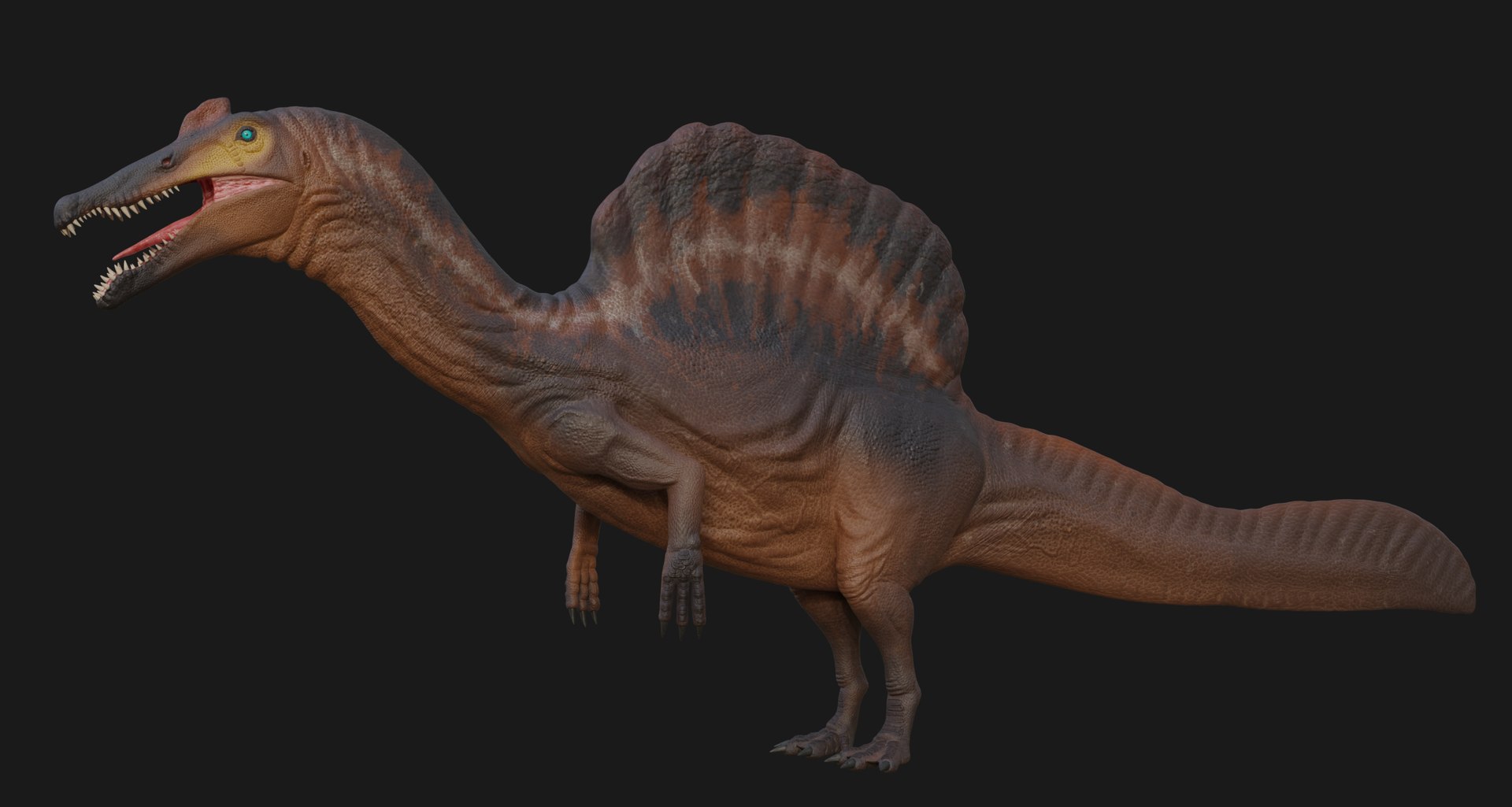 3D Spinosaurus https://p.turbosquid.com/ts-thumb/Jh/2EDKt4/i2/2/png/1739429547/1920x1080/fit_q87/492beed72f6109c2fd8dda4dd5ea92faa013d10f/2.jpg
