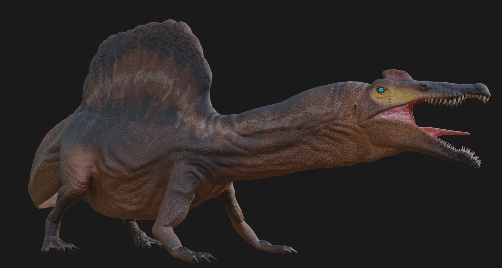 3D Spinosaurus https://p.turbosquid.com/ts-thumb/Jh/2EDKt4/oC/7/png/1739429520/1920x1080/fit_q87/22ec81e34160a24661ae50010ea28b581966f72f/7.jpg