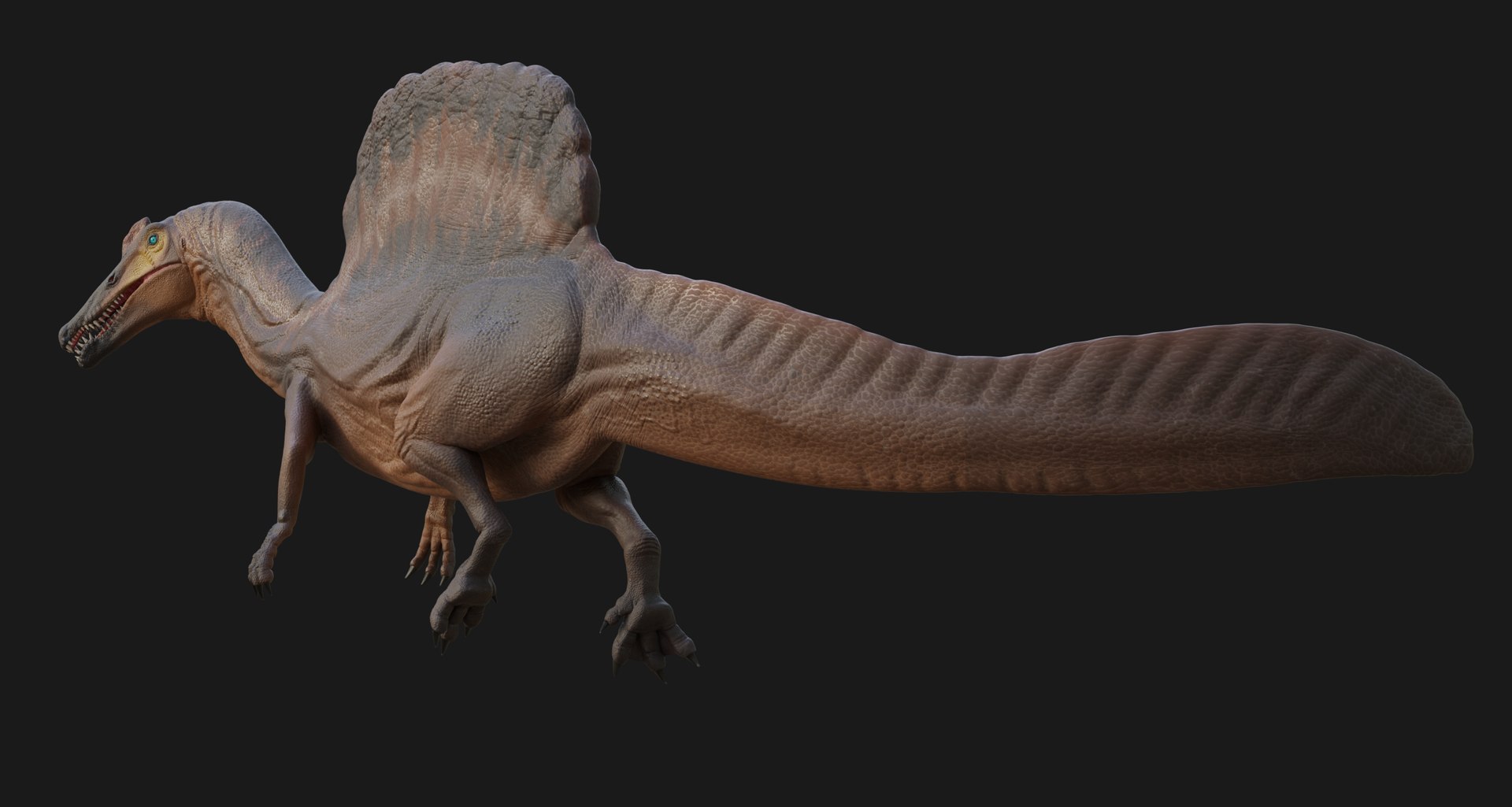 3D Spinosaurus https://p.turbosquid.com/ts-thumb/Jh/2EDKt4/yN/8/png/1739429520/1920x1080/fit_q87/52cc7bcfe9bc8c0e24b3151132397cddad1d8d51/8.jpg