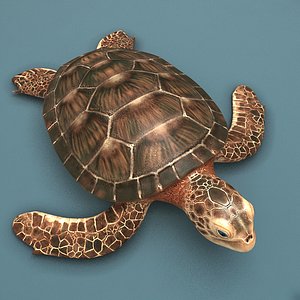 sea turtle max