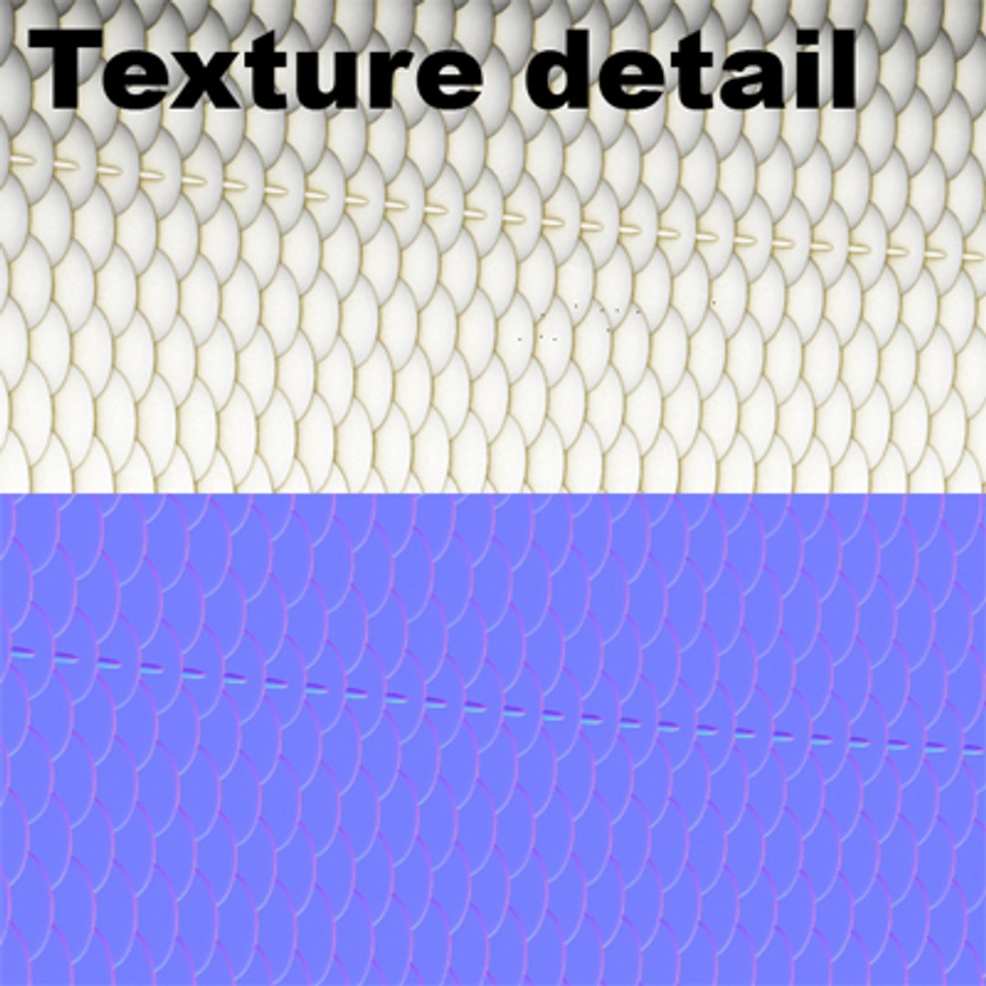 maya fish rutilus https://p.turbosquid.com/ts-thumb/Jh/CnGCCH/dVFKPhCD/6/jpg/1223781409/1920x1080/fit_q87/e623bfdbbb75370e441504deceb6eb08cb8f5847/6.jpg