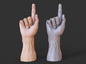 Male Hand Pose 15 3D model