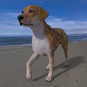 3D LAB-029 Dog Walking model