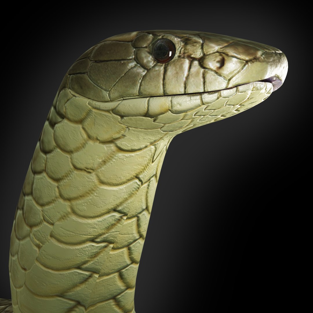 Tiger Snake 3D Model - TurboSquid 1191057