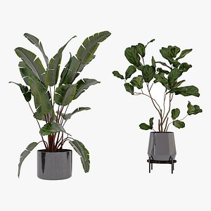Plant 040